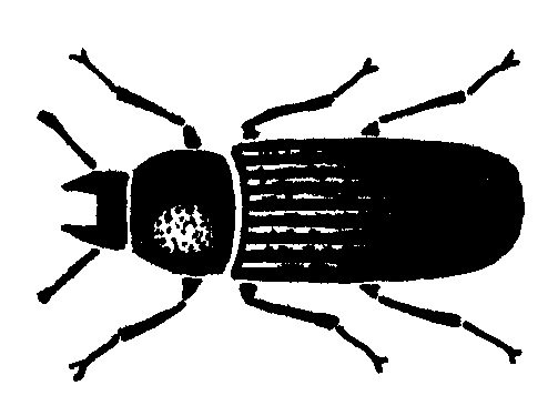 Silhuet af Hornet Melbille