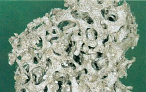 Afstøbning af gule myrers rede