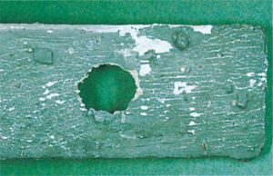 Hul i træ efter poppelborer