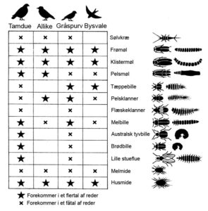 Skadedyrs forekomst i fuglereder