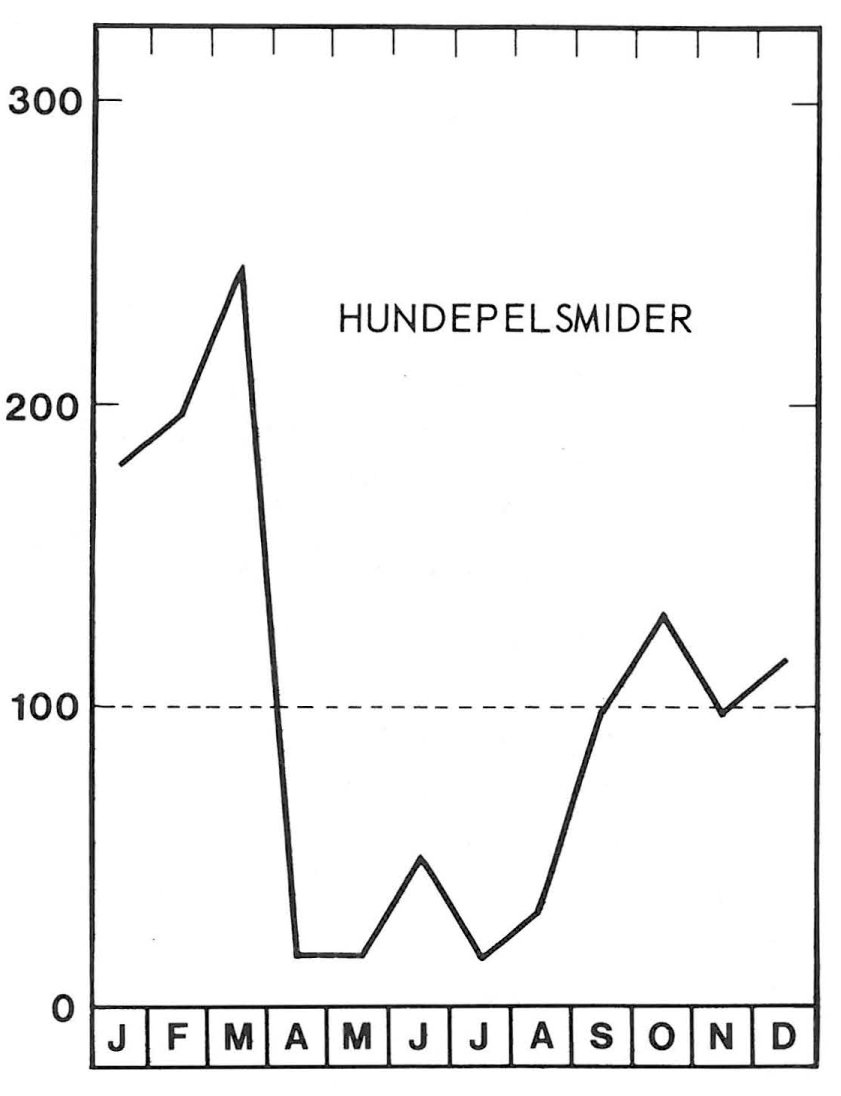 Sæson for hundepelsmider