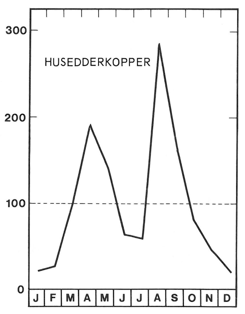 Sæson for husedderkopper