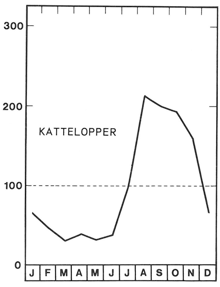 Sæson for kattelopper i august