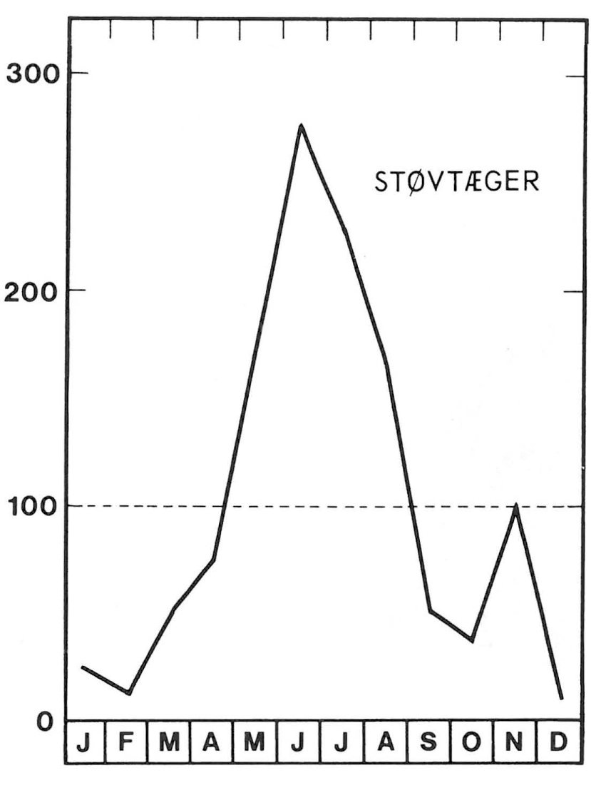 Sæson for støvtæger om sommeren