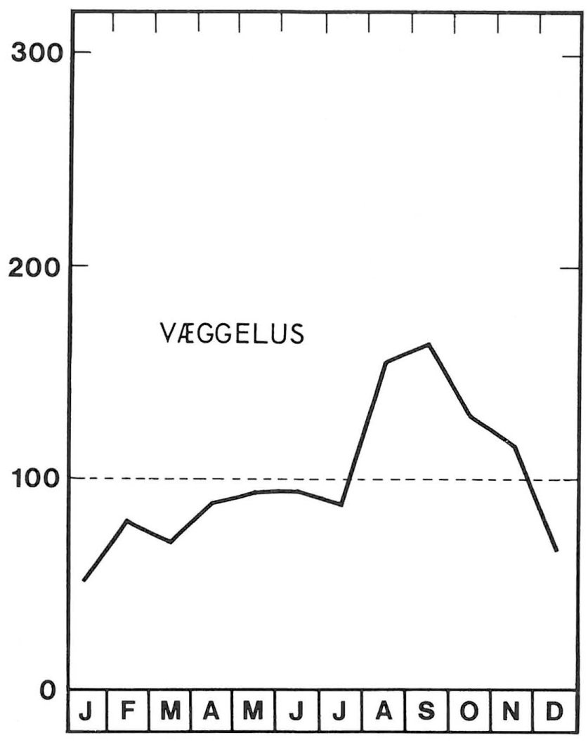 Sæson for væggelus om efteråret