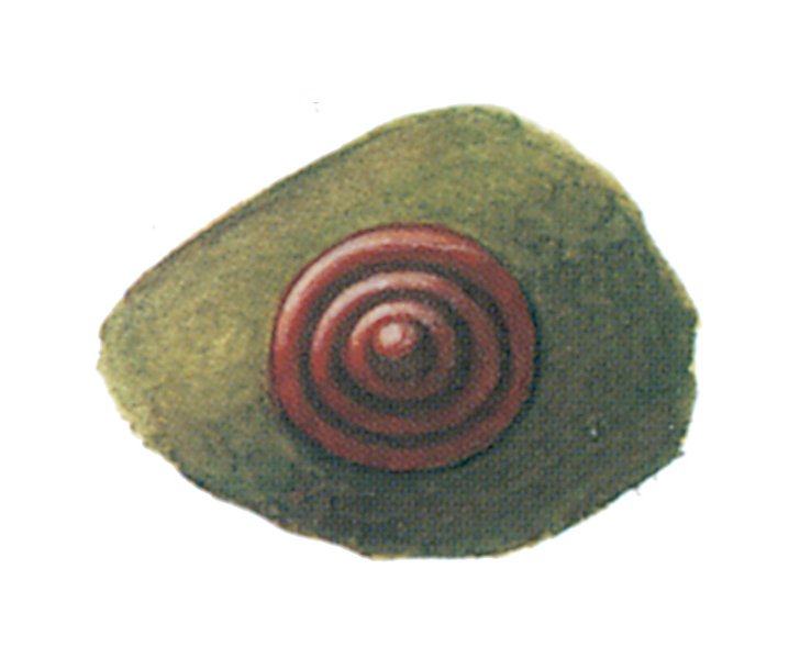 Skjoldlus