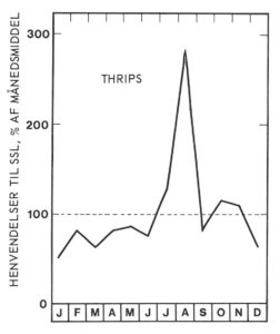 Thrips sæson i august