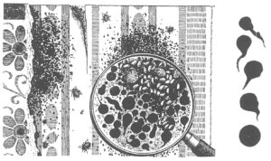 Væggelus efterladenskaber på tapet