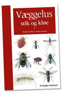Væggelus stik og kløe