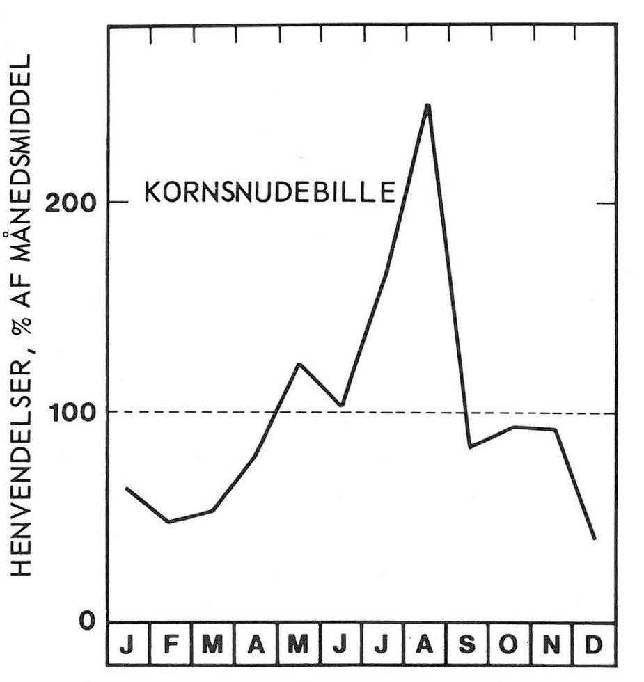 Sæson for kornsnudebille