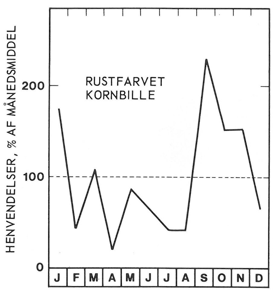 Sæson for rustfarvet kornbille