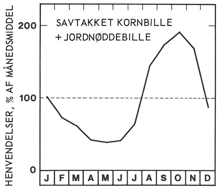 Sæson for savtakket kornbille og jordnøddebille