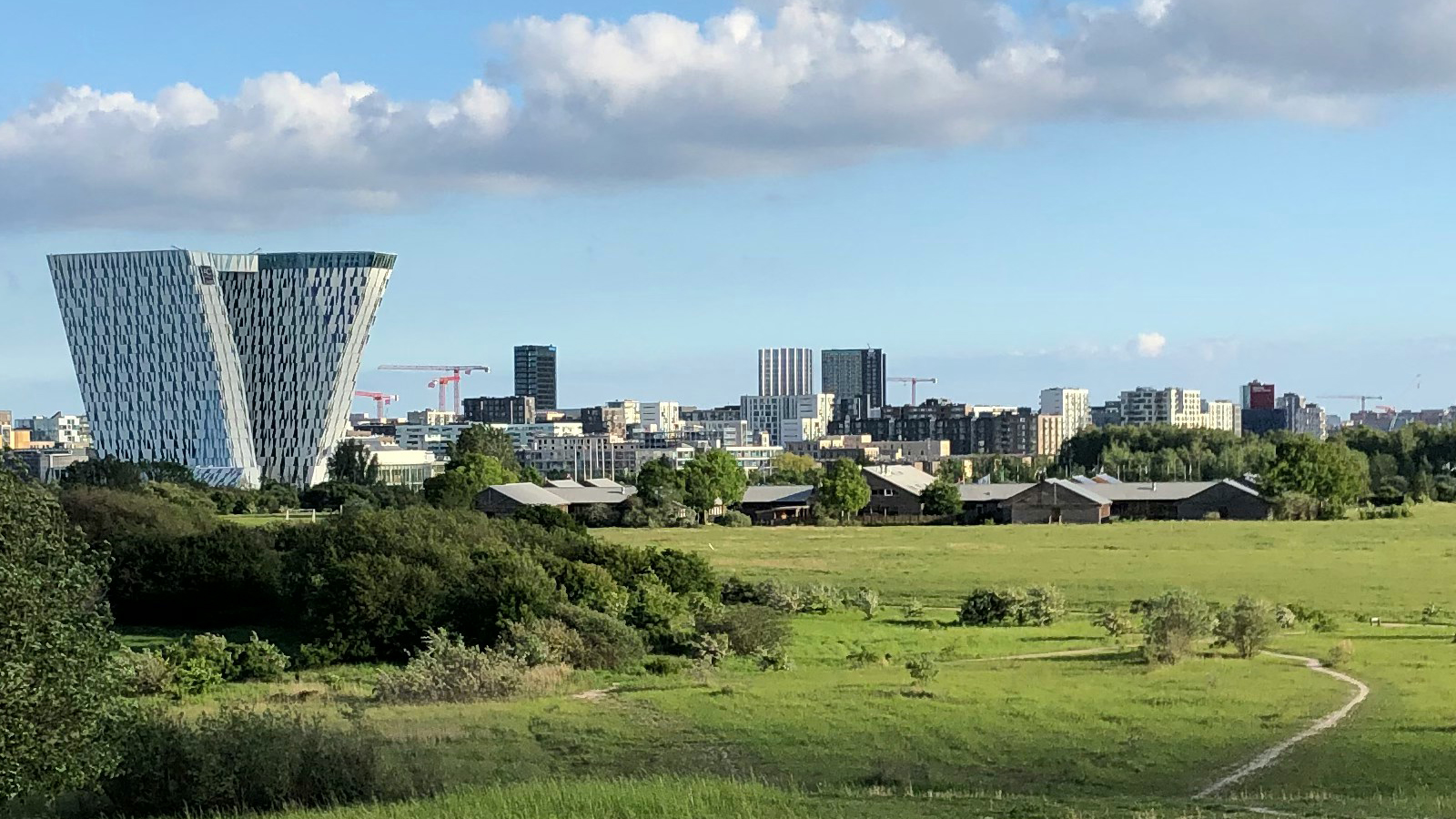 Skal vi hjælpe med bekæmpelse af skadedyr på Amager?